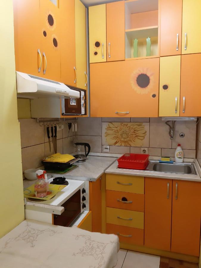 Apartment Adela Pozarevac Bagian luar foto