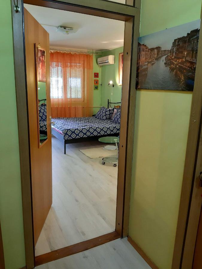 Apartment Adela Pozarevac Bagian luar foto
