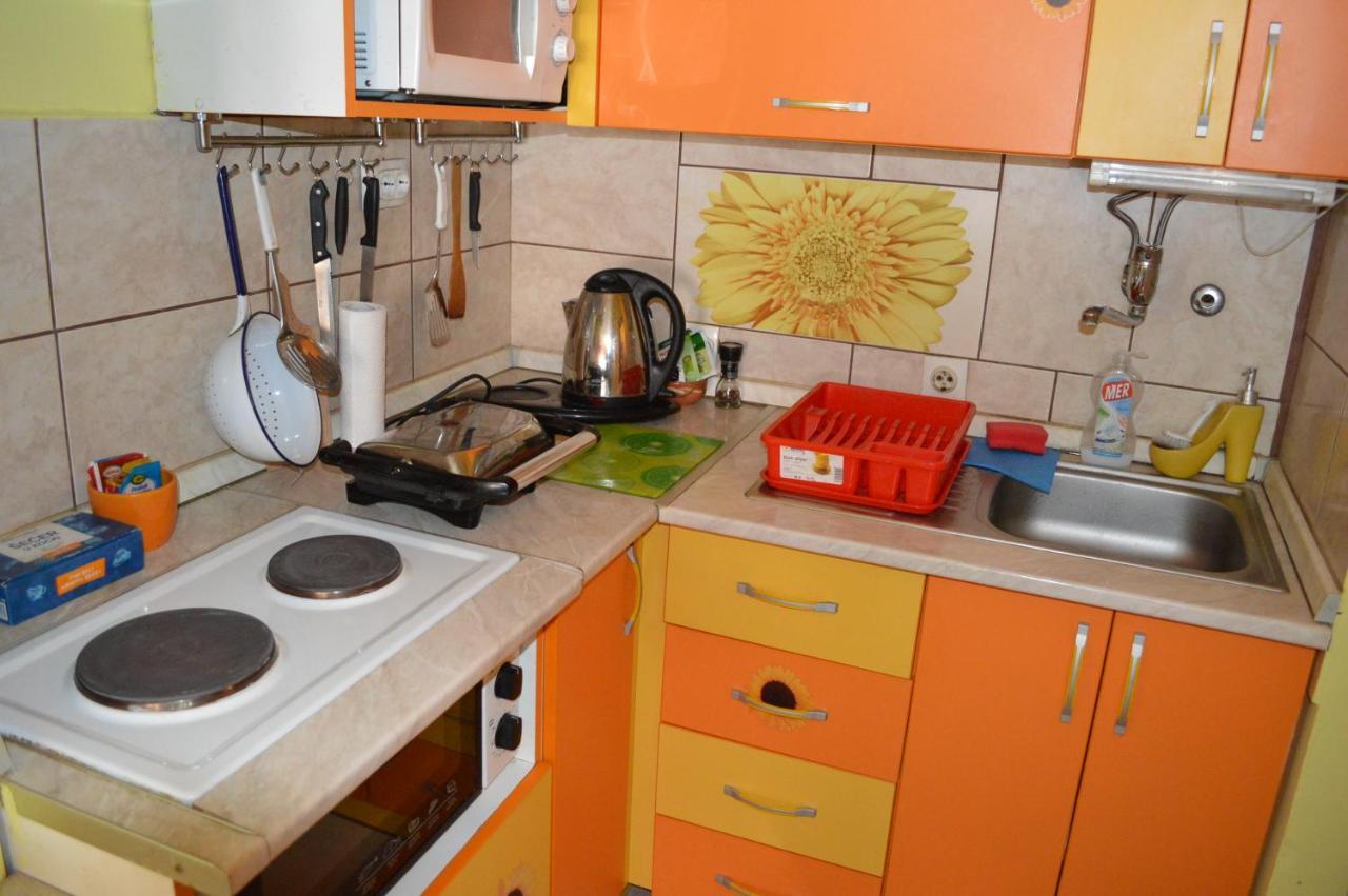 Apartment Adela Pozarevac Bagian luar foto
